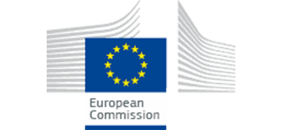 EU customes tarif TARIC consultation