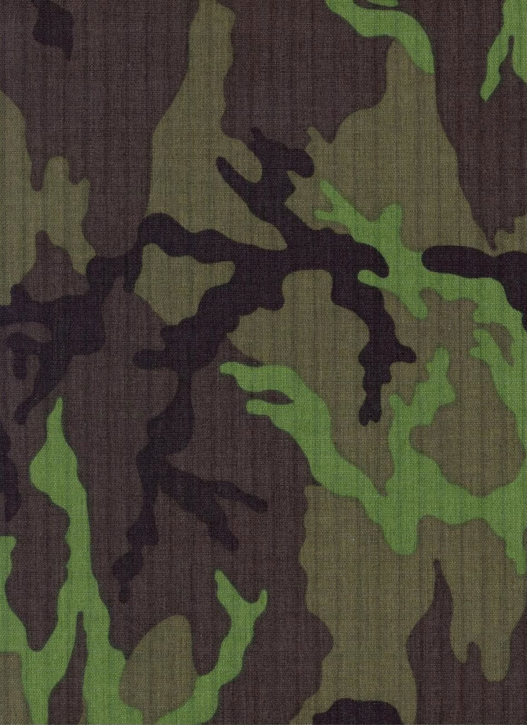 Czech woodland