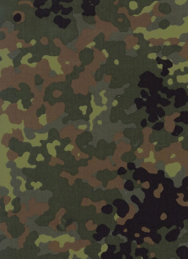 German woodland 'Flecktarn'