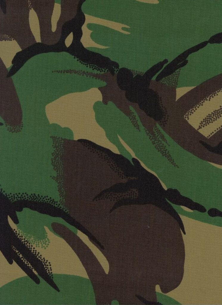 Portugal woodland